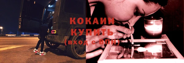 прущая мука Вяземский