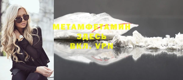 прущая мука Вяземский