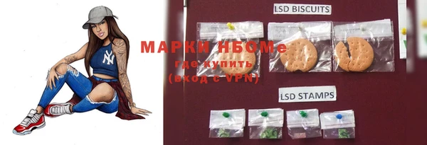 прущая мука Вяземский