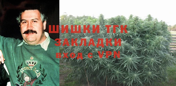 прущая мука Вяземский