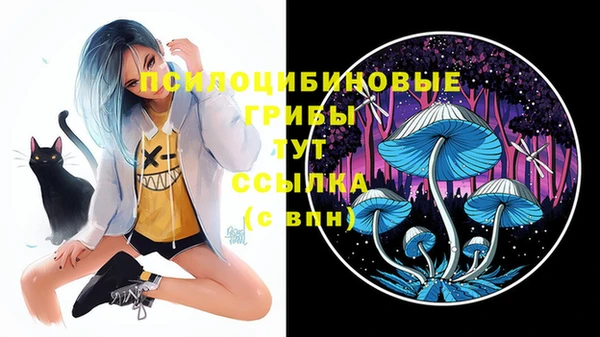 mdpv Вязьма