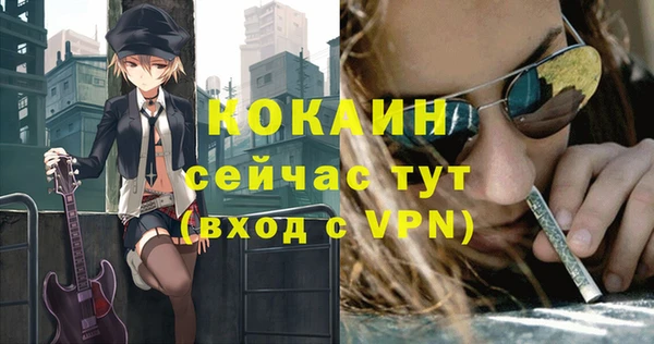 прущая мука Вяземский
