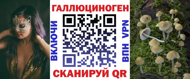 ОМГ ОМГ ссылки  Салават  Галлюциногенные грибы прущие грибы 